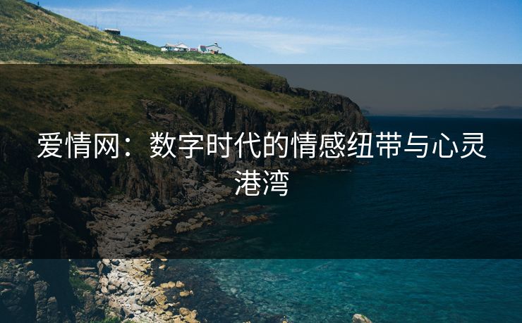 爱情网：数字时代的情感纽带与心灵港湾