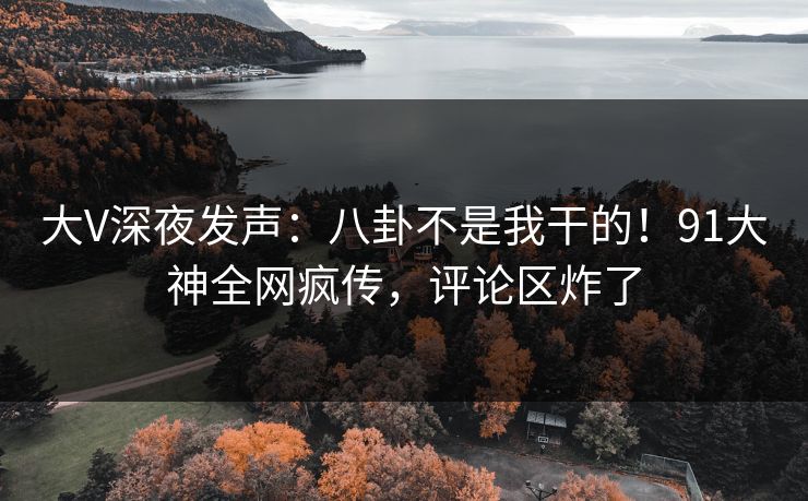 大V深夜发声：八卦不是我干的！91大神全网疯传，评论区炸了