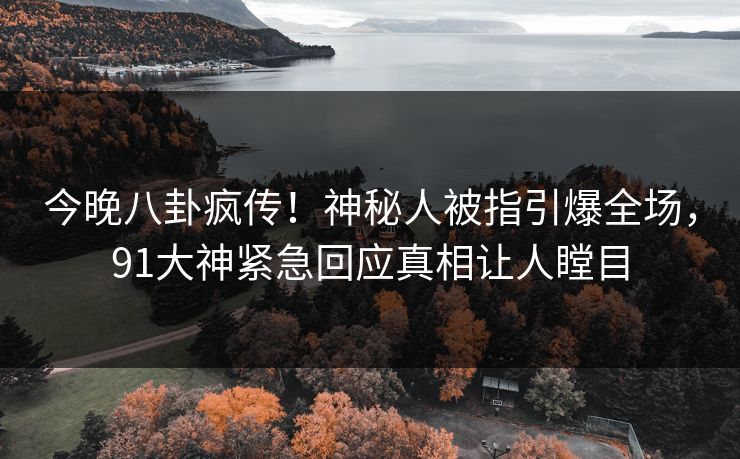 今晚八卦疯传！神秘人被指引爆全场，91大神紧急回应真相让人瞠目