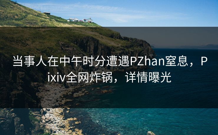 当事人在中午时分遭遇PZhan窒息，Pixiv全网炸锅，详情曝光