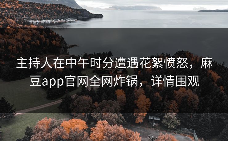 主持人在中午时分遭遇花絮愤怒，麻豆app官网全网炸锅，详情围观